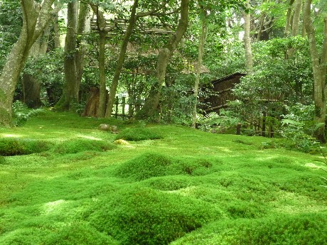 京の庭